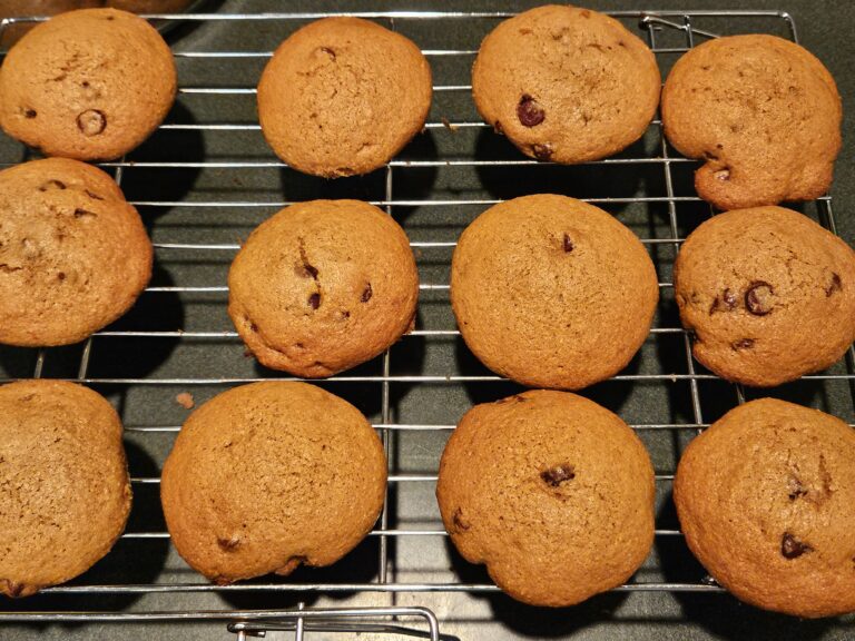 Chocolate Chip Cookies with Freshly Milled Flour
