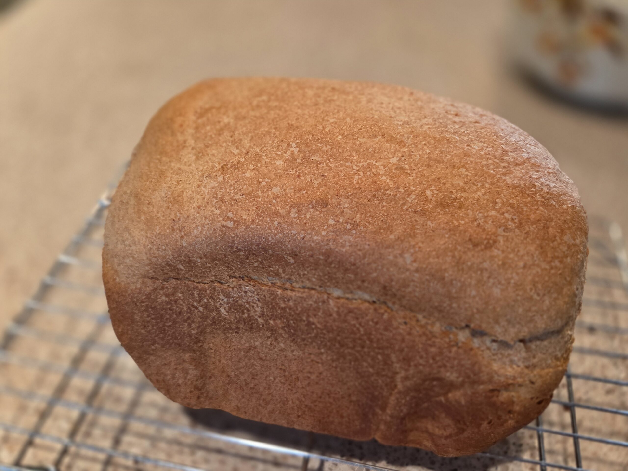 Easy Bread Machine Bread with Freshly Milled Flour
