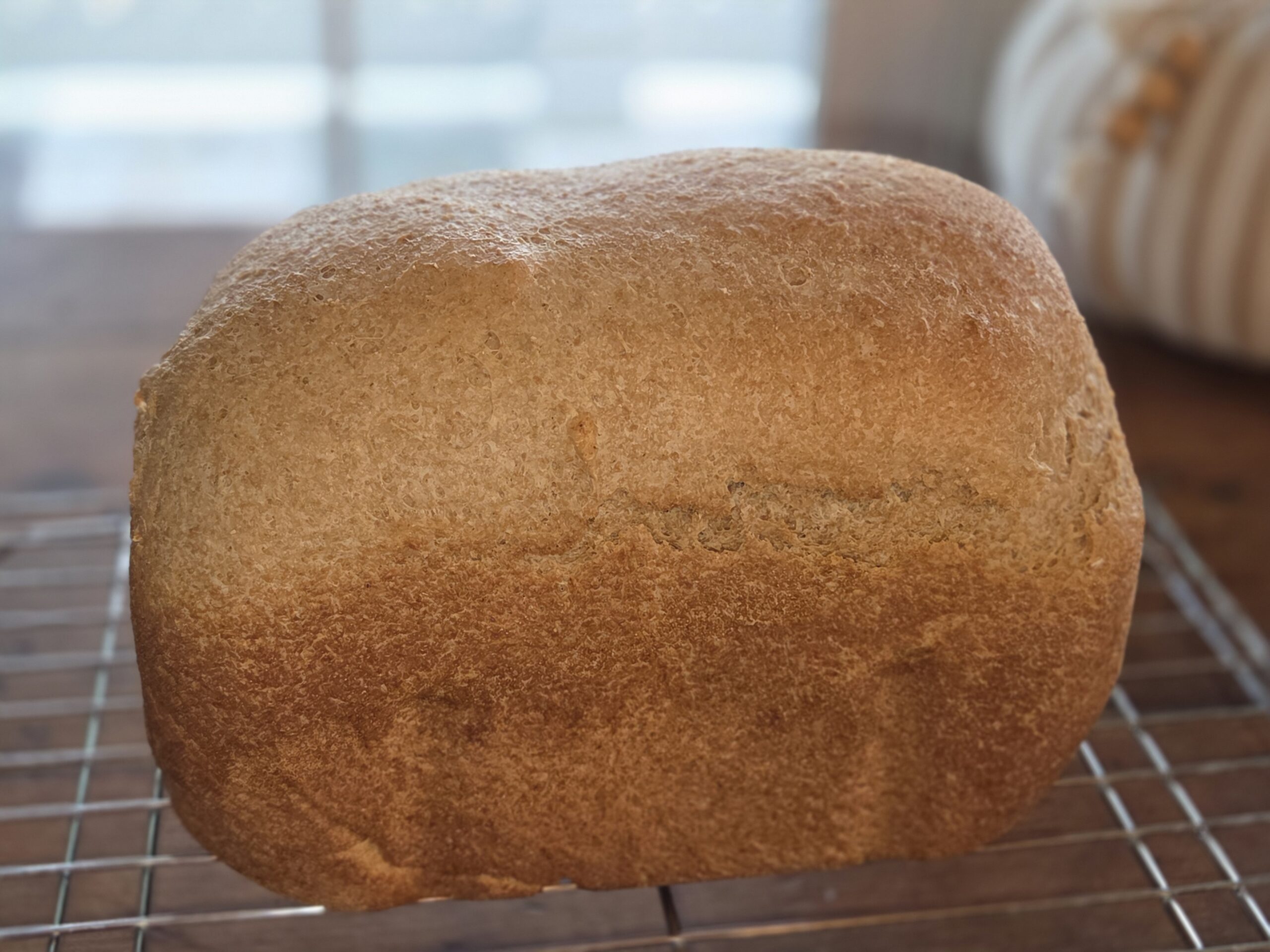 Easy Freshly Milled Flour Bread Machine Recipe