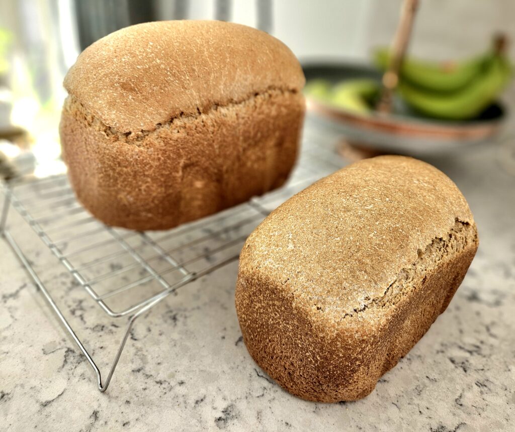 Two loaves of homemade bread on kitchen countertop