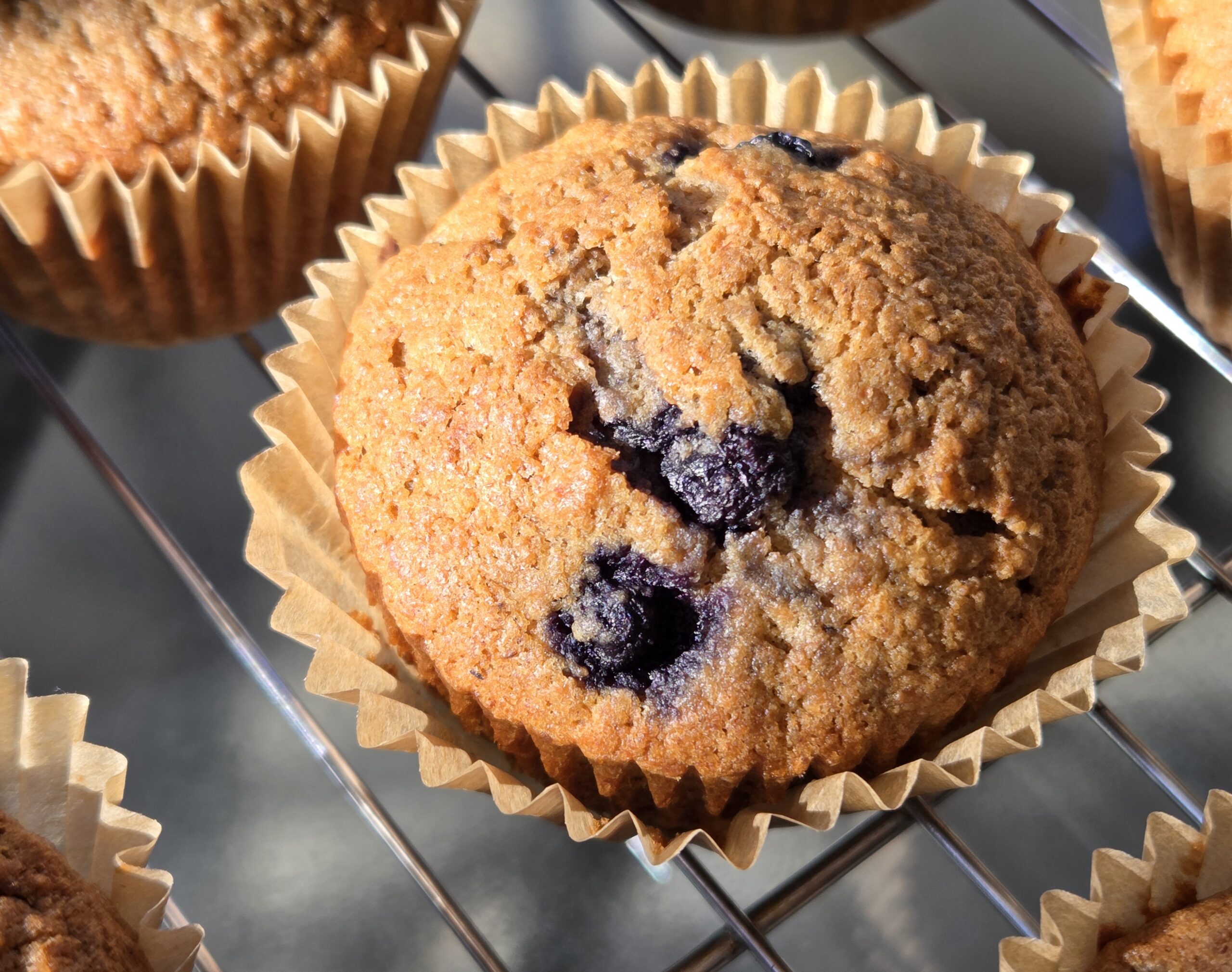 Blueberry Banana Sourdough Muffin with freshly milled flour close up picture