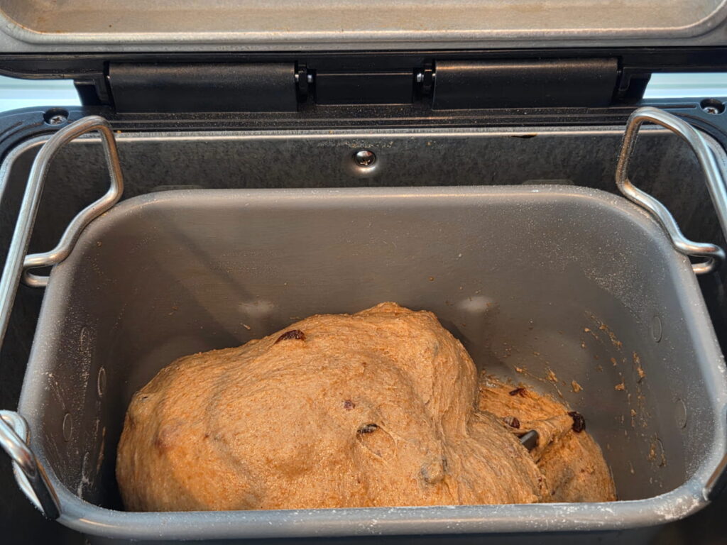 Dough in bread machine after kneading