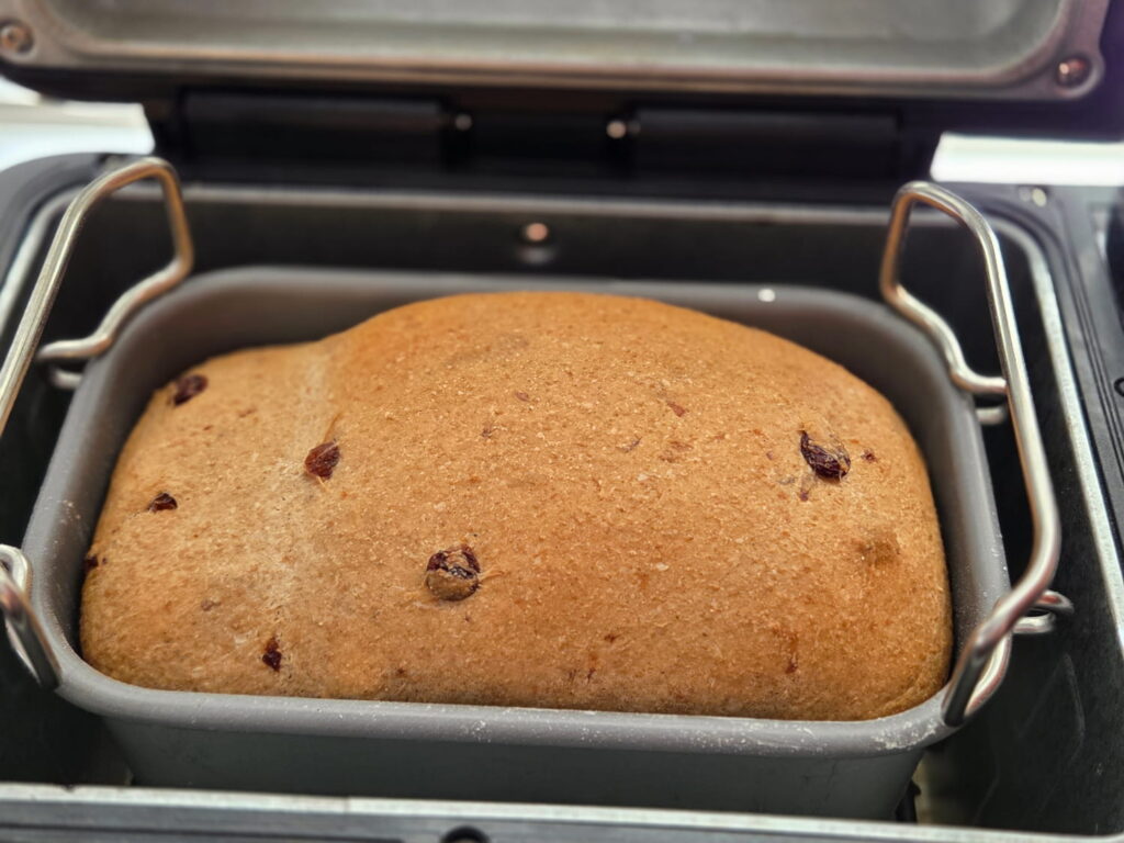 Finished loaf of cinnamon raisin bread still in bread machine